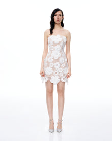 Leander Embroidered Lace Mini Dress - White