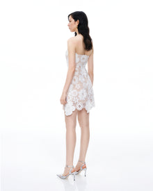 Leander Embroidered Lace Mini Dress - White