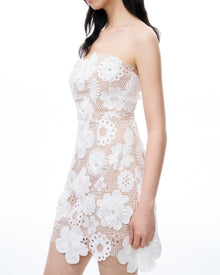 Leander Embroidered Lace Mini Dress - White
