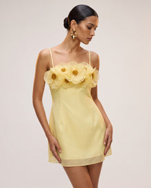 Poppy Embroidered Detail Corset Mini Dress - Pale Yellow