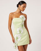 Orchid Embroidered Floral Appliqué Strapless Mini Dress - Pistachio Green