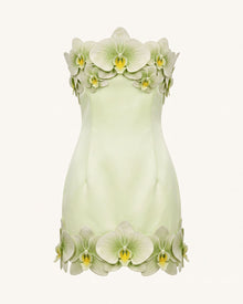 Orchid Trim Strapless Mini Dress - Pistachio