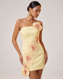 Orchid Embroidered Floral Appliqué Strapless Mini Dress - Light Yellow