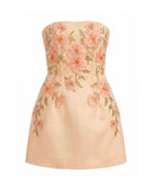 Floral Embroidered Strapless Corset Mini Dress - Pink-orange